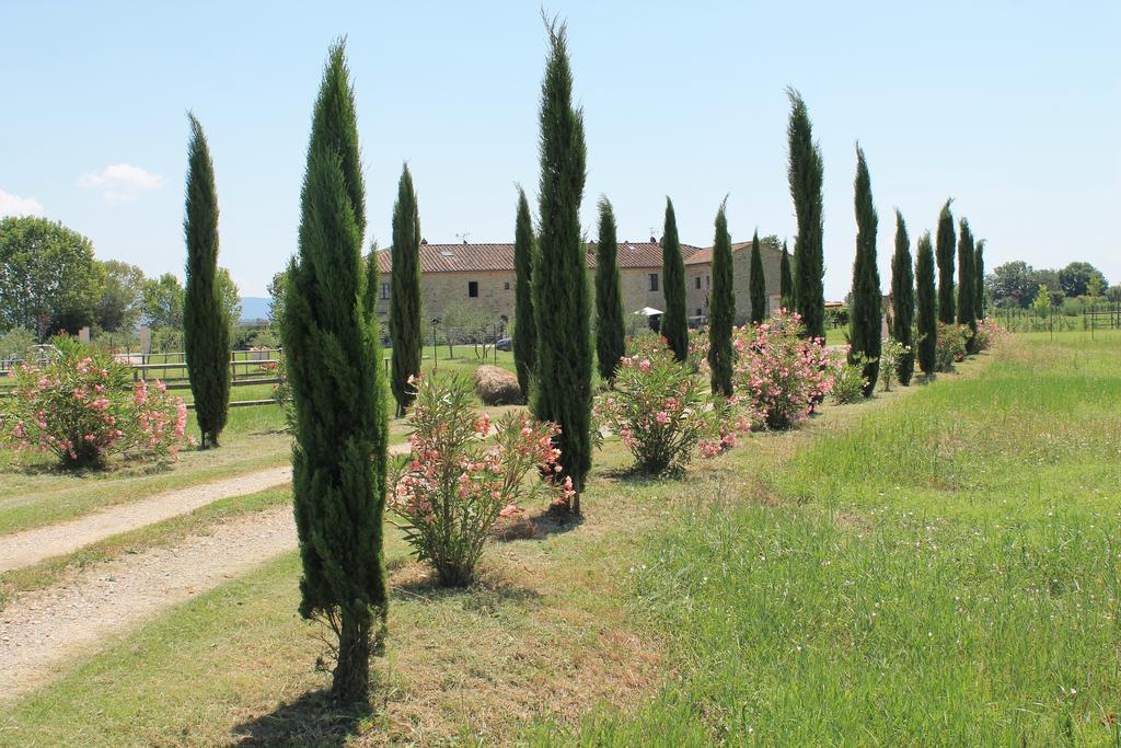 Il Grifone A Cortona Residence Exterior photo